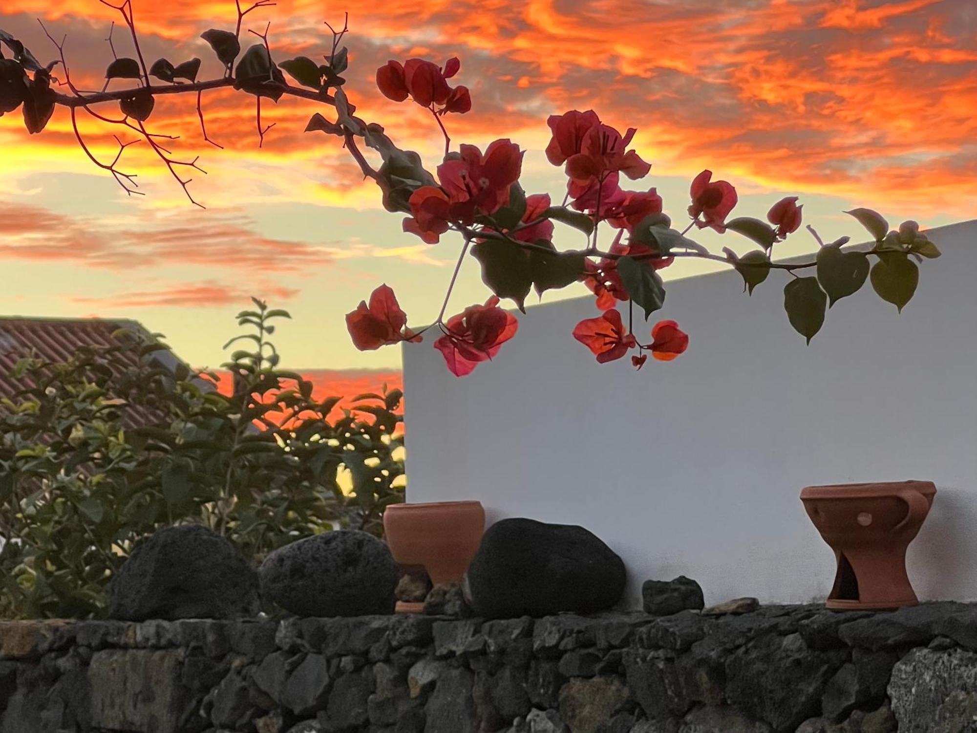 فيلا Casa Do Moinho Ponta Delgada المظهر الخارجي الصورة